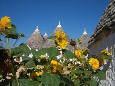 Masseria Pozzo Tre Pile - 15
