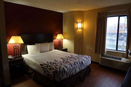 Red Roof Inn Houston - Iah Airport/Jfk Blvd - 3