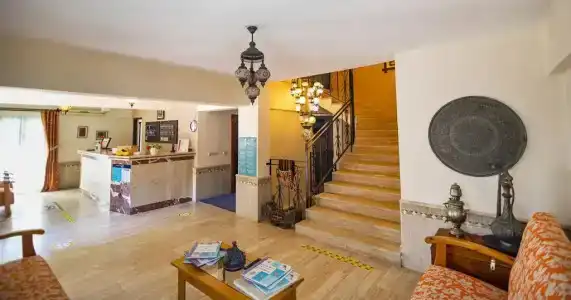 Portakal Dalyan - 8
