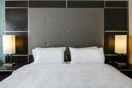 Hampton Inn & Suites by Hilton-Airport - 52