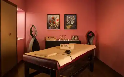 Palm Wings Ephesus Beach Resort - Ultra All Inclusive - 2