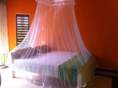 Bee Nest - 25