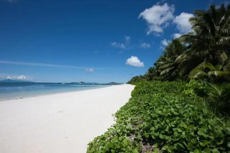 Villas des Alizes beachfront suites and garden villas - 18