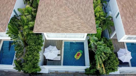 Samui Blue Orchid - Adult Only - 61