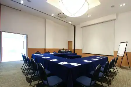 Fiesta Inn Naucalpan - 19