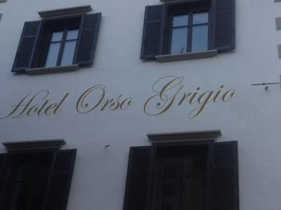 Orso Grigio - 0