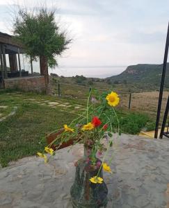 Sari KeÇİ TaŞ Otel - 11