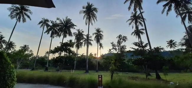 Koh Paradise Beach - 45