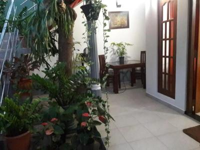 Aayu's Guest - 3