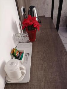 Saint Elena Boutique - 83