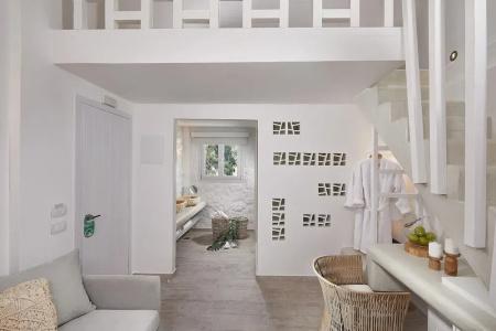 Petri Suites - 61
