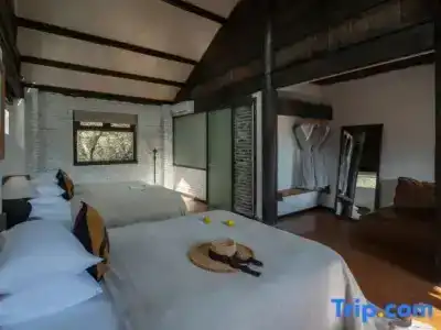 Adonis Inn - 12