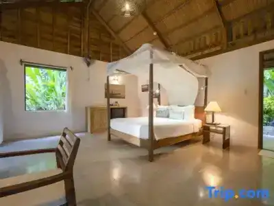 Mango Bay Resort - 262