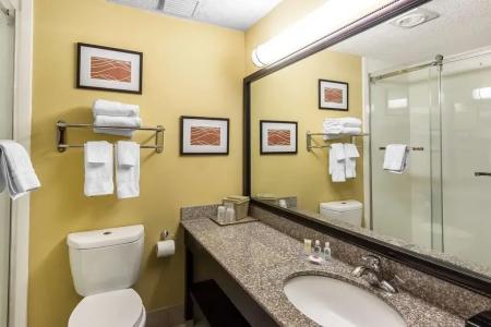 Comfort Inn & Suites - 7