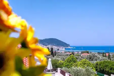 Skopelos Holidays & Spa - 183