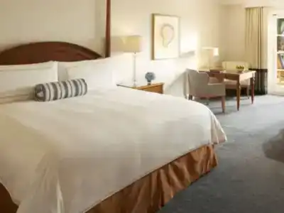 Park Hyatt Aviara - 4