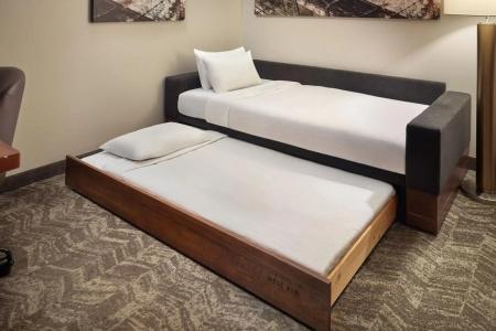 SpringHill Suites by Marriott Atlanta Airport Gateway - 9