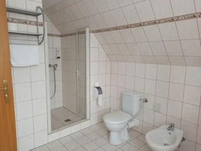 Schwarzes Ross & Restaurant Oberwiesenthal - 8