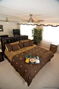 The Alexander All Suites - 31