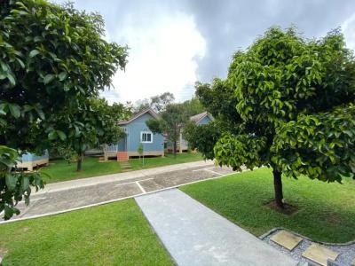 Be Leaf Resort Sha - 20