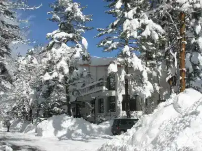 White Horse - 7