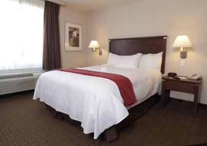 Best Western Plus Guildwood Inn - 6