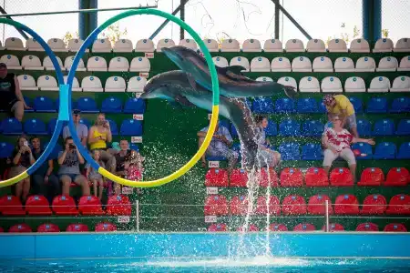 Санаторий Адлеркурорт корпус Коралл - 22