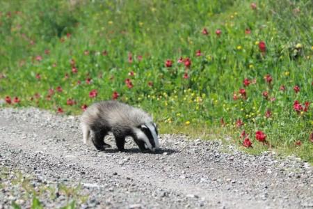 Agriturismo Cantagalli - 49