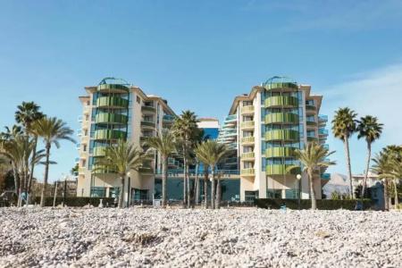 Kaktus Albir - 28