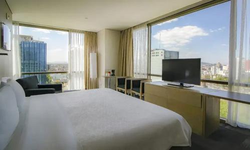 Holiday Inn Express Mexico Reforma - 81
