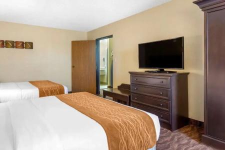 Comfort Inn at Thousand Hills - 69
