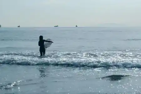 Kamakura Prince - 23