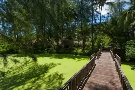 Haadson Resort - Khaolak, Phangnga - 35