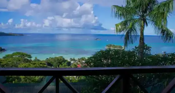 Mango Lodge - 37