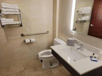 Holiday Inn Express Maspeth, An Ihg - 7