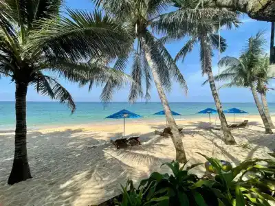 Orange Resort - 259