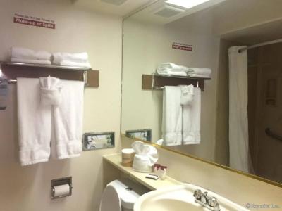 Anaheim Discovery Inn and Suites - 9