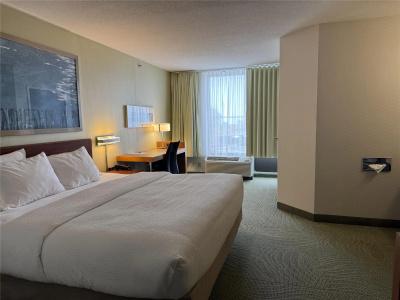 SpringHill Suites by Marriott - 42