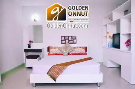 Golden On-nut - 17