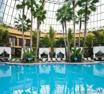 Harrah's Resort & Casino - 16