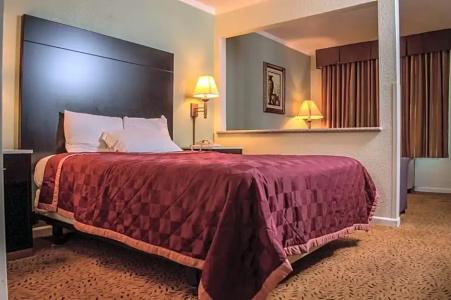 Executive Inn & Suites - 14