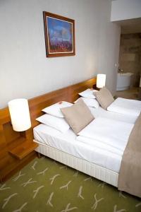 Zenit Wellness Balaton - 55