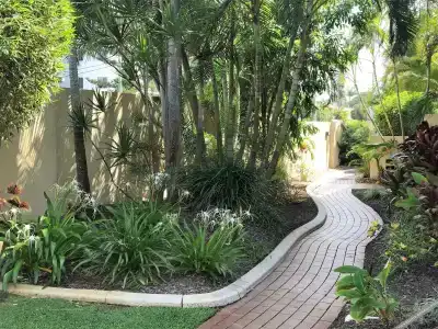 Sea Mist Palms - 10