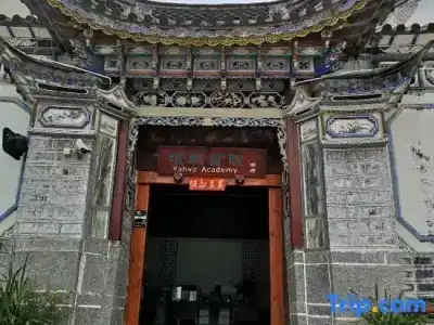 Dali Yahve Academy - 0