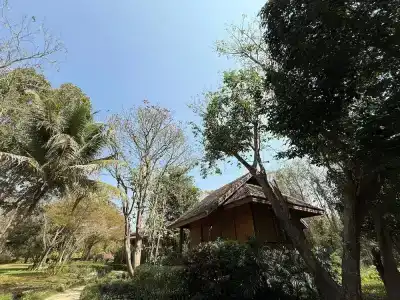 Baan Krating - Sha Plus - 69