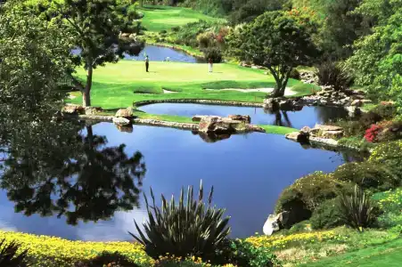 Park Hyatt Aviara - 23
