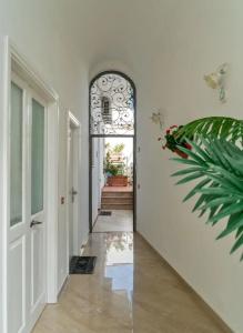 Capri Dreaming - 7