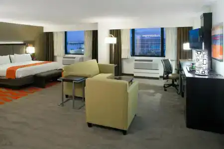 Holiday Inn Houston s - Nrg Area - Med Ctr, An Ihg - 29