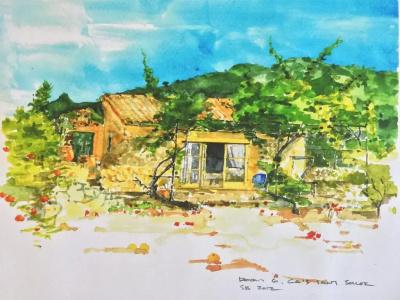 Finca Cas Sant - 28