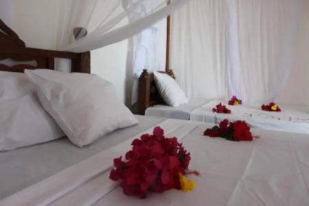 Zanzibar Retreat - 71
